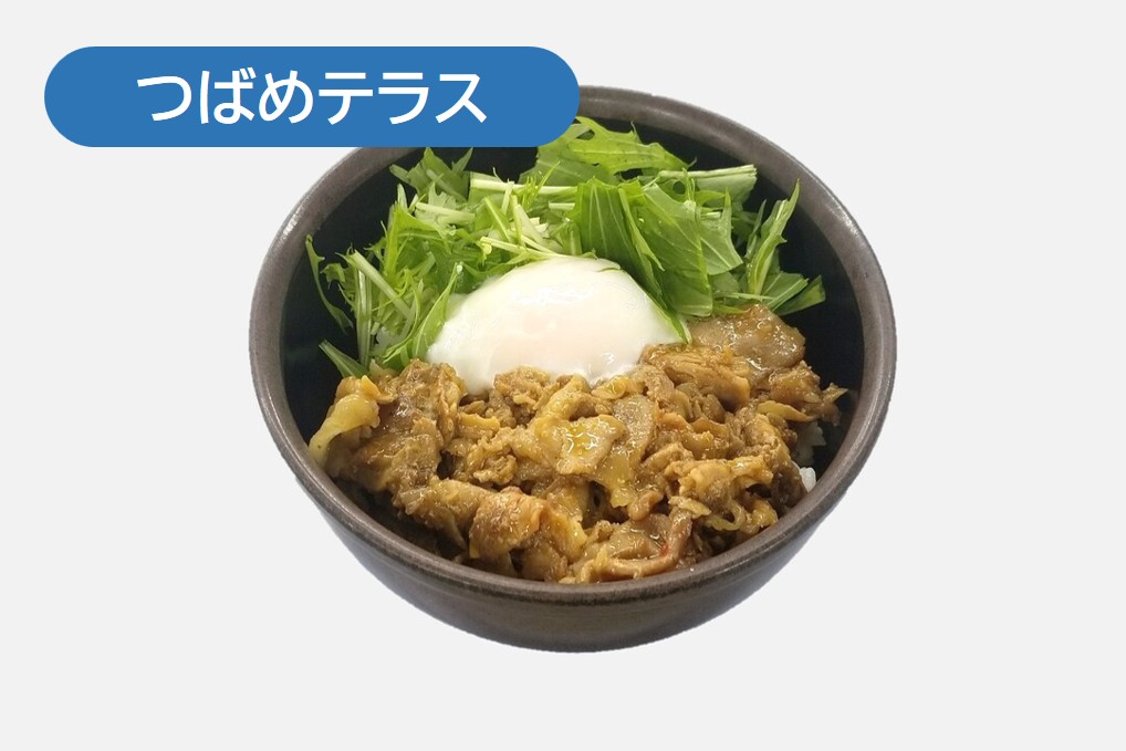 東工大パワー丼