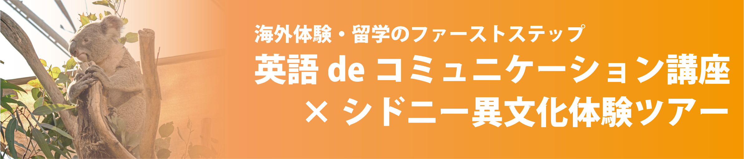 英語deコミュニケーション講座 新潟大学生活協同組合受験生 新入生応援サイト21